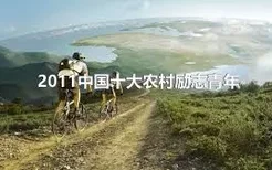 2011中国十大农村励志青年
