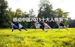 感动中国2015十大人物事迹